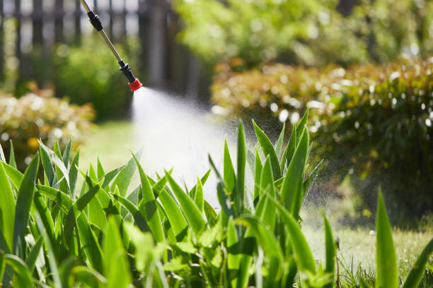 24/7 Emergency Mosquito Control experts in North Riverside, IL